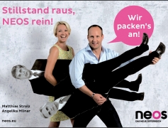 NEOS-24-BOGEN-PLAKAT-2013.jpg